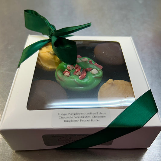 2026 Holiday Fudge Sampler Box - 6 oz